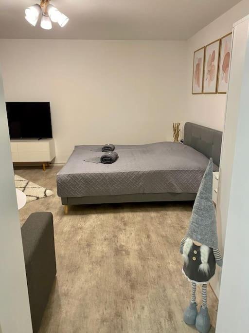 Stilvolle Ferienwohnung Mit Stellplatz Wlan Free Netflix Naehe Bahnhof Zwickau Exterior foto